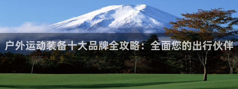 利记国际官网