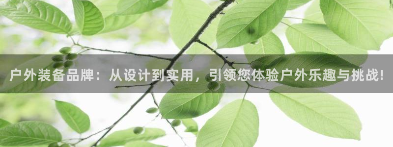 利记官网地址