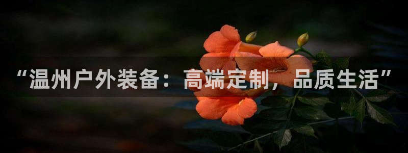 利记 官网