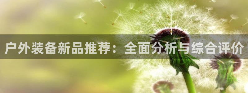 利记国际线址官网