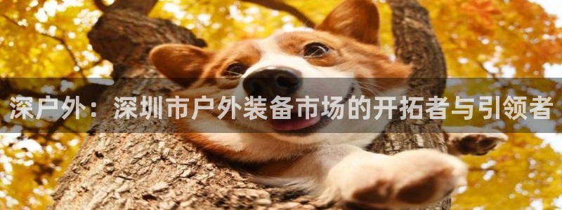 利记正式官网