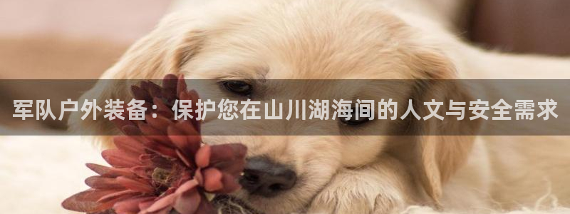 香港利记集团官网招聘