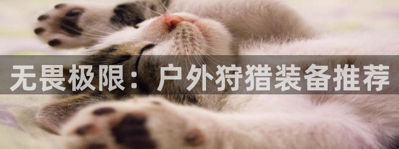 利记app官网真人游戏