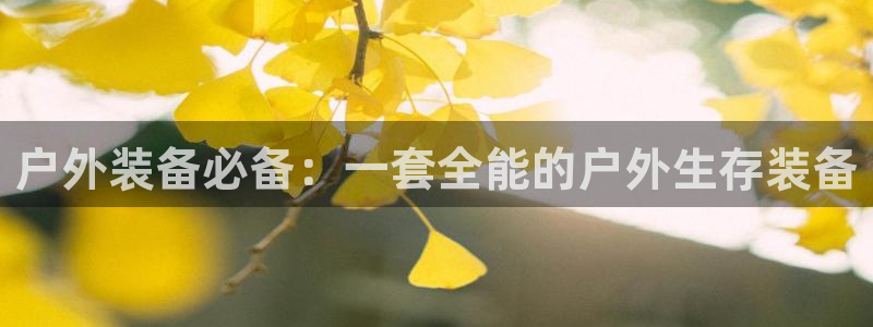 香港利记lee kee集团官网