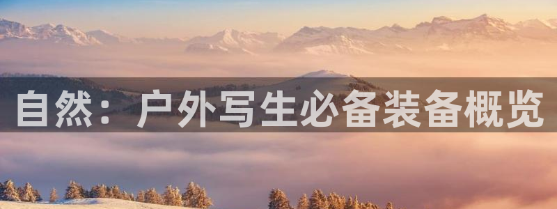 利记体育官网