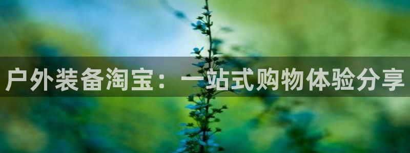 利记官网日亚运比