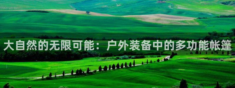 利记官网地址