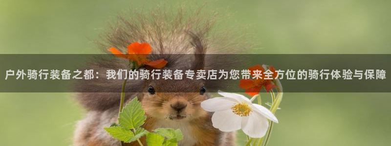 利记彩票官网hd71