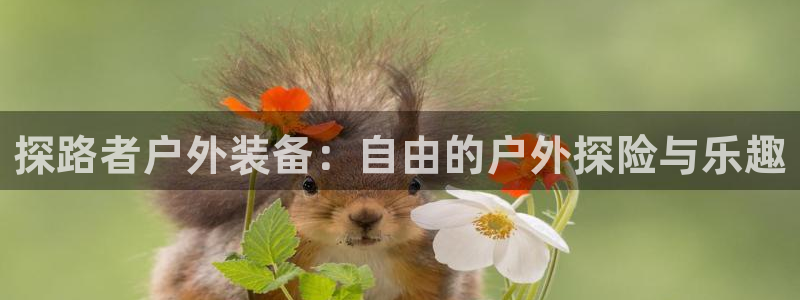 利记官网app