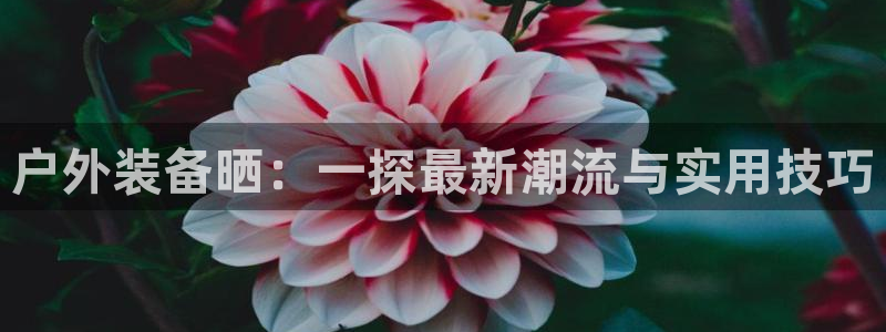万利记官网电话