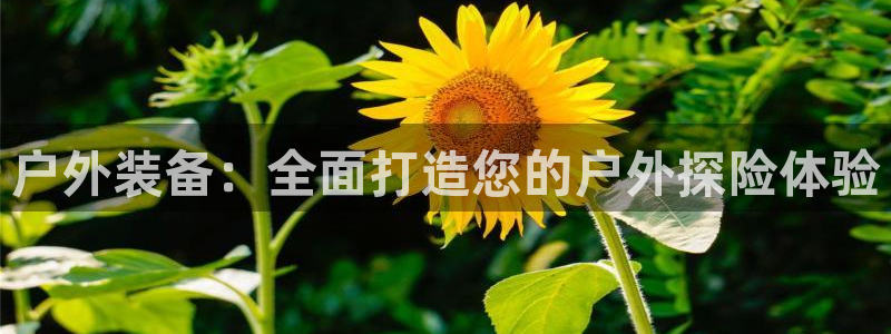 万利记唯一官网