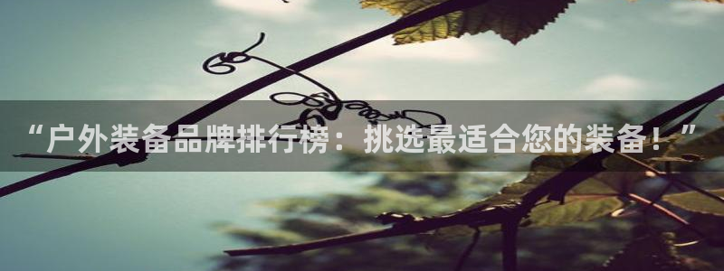 利记官网入口最新版