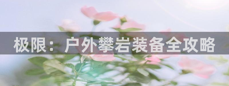 利记官网注册网