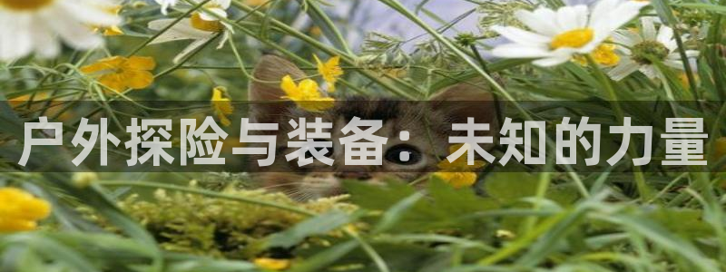 利记官网地址