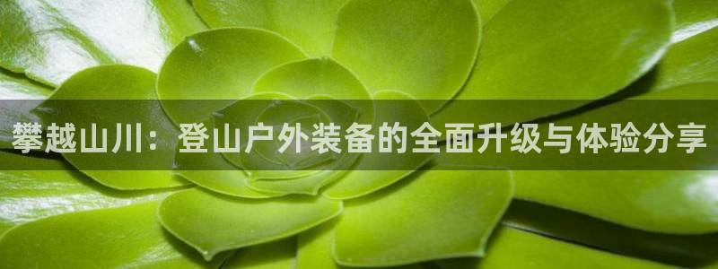 香港利记集团官网