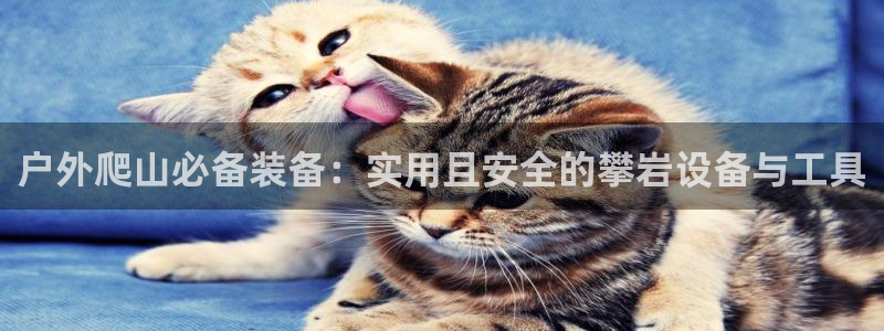 利记官网a