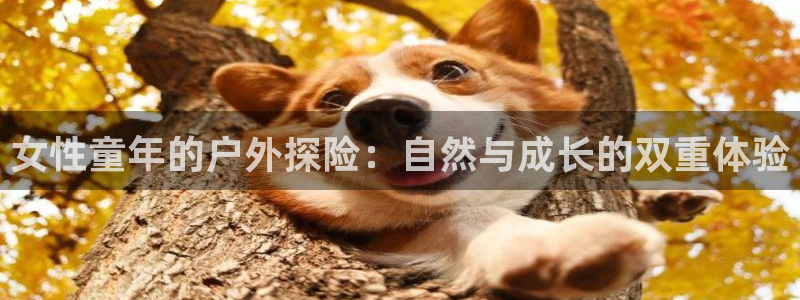 利记广告联盟官网