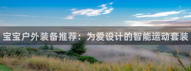 利记 利记官网