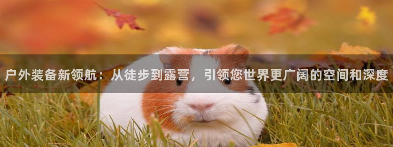 利记娱乐网唯一官网
