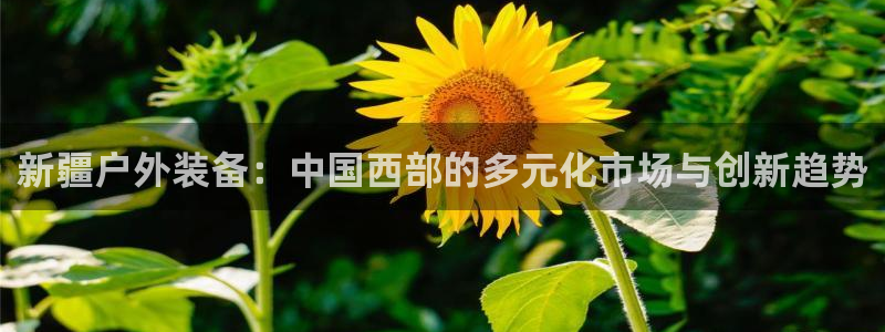 利记官网app下载