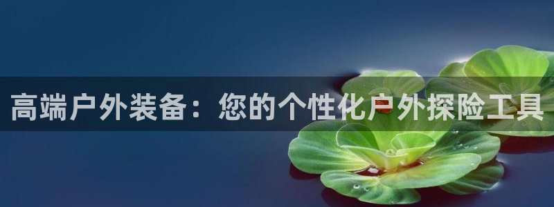 利记官网平台入口