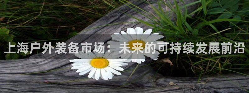 利记集团官网