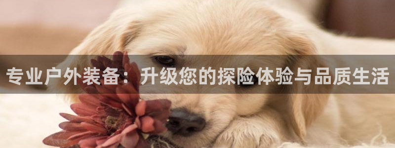 利记游戏开户ysb体育官方官网