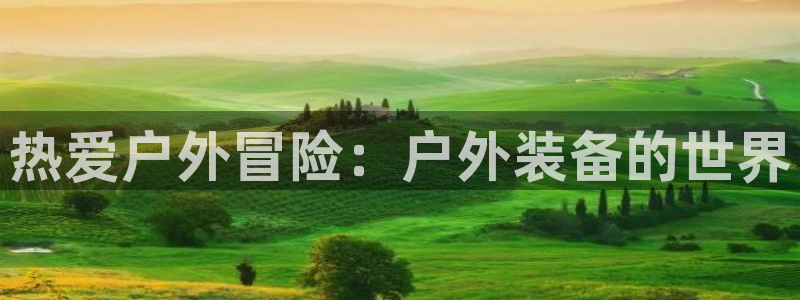 利记手机官网