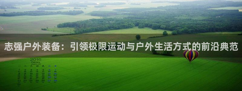 利记官网电脑版