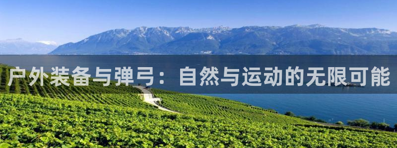 利记手机官网入口