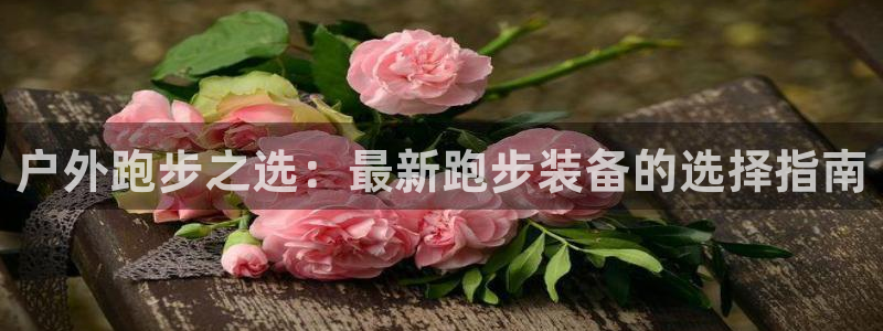 大利来记官网