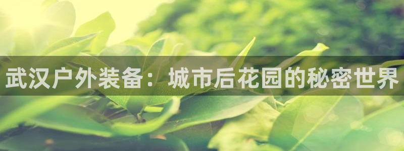 万利记官网电话