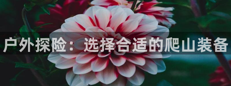 利记彩票官网hd71