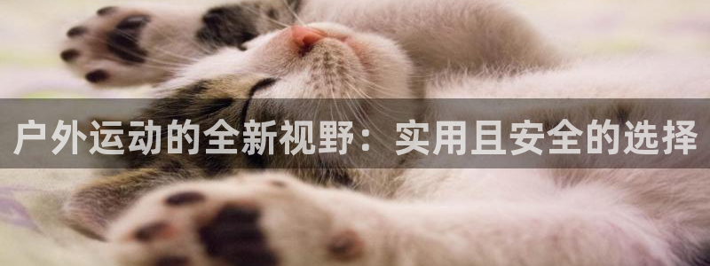 利记官网加盟