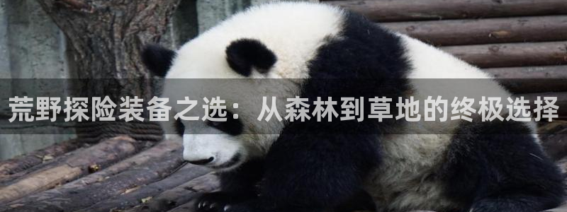 万利记加盟官网电话