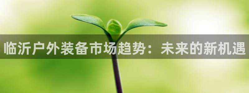 利记官网葡京投注网址