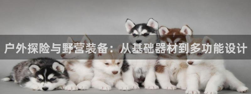利记官网是真的吗