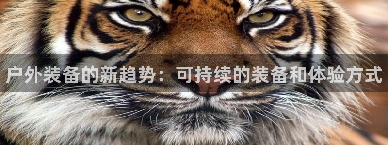 利记 官网