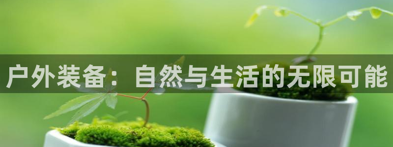 万利记加盟官网电话