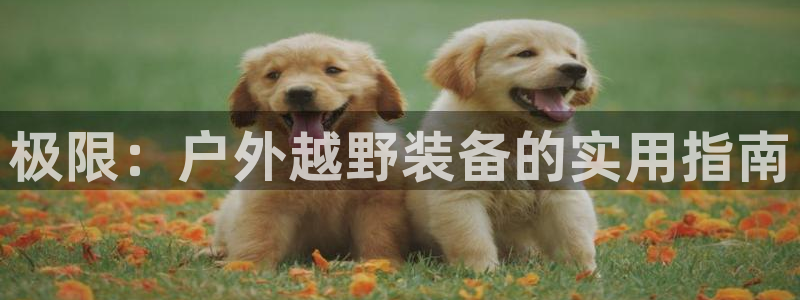 利记官网入口最新版