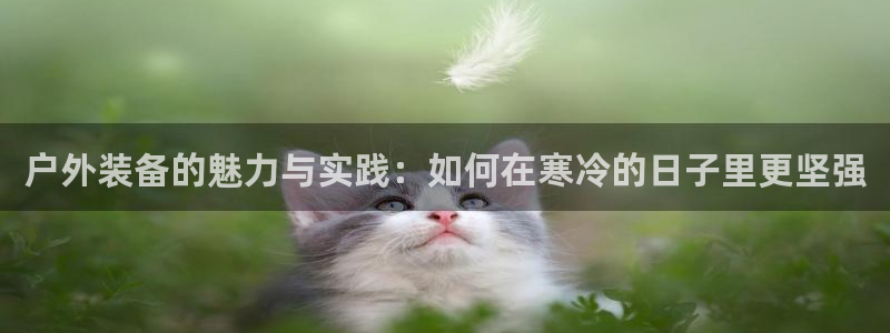 利记体育官网
