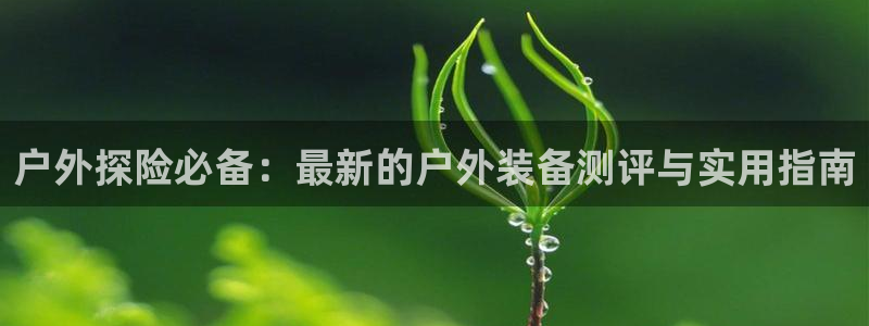 利记 利记官网