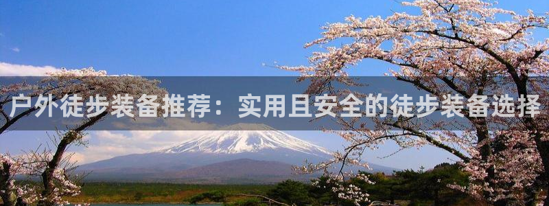 利记买球官网