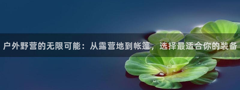 大利来记官网