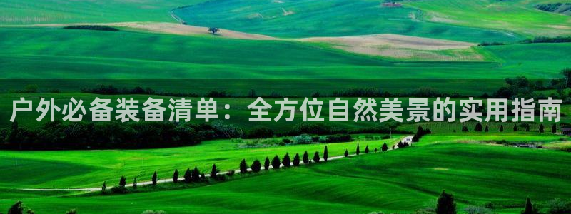 利记体育平台官网