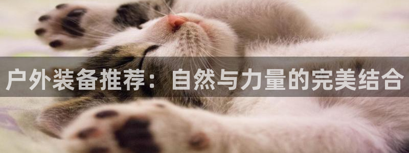 利记官网日亚运比