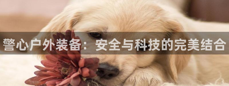 澳博官网app利记网址
