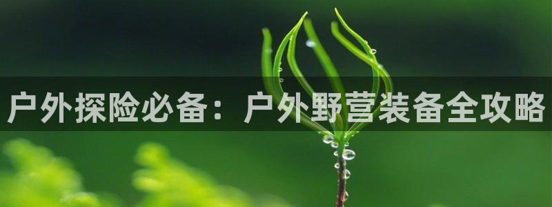 利记app官网入口