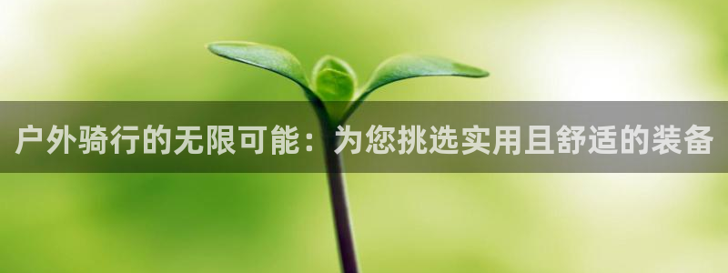 利记二手车行官网