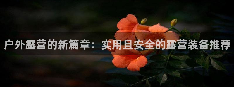万利记官方旗舰店官网